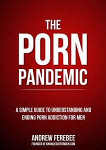 The Porn Pandemic 