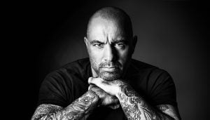 best joe rogan quotes