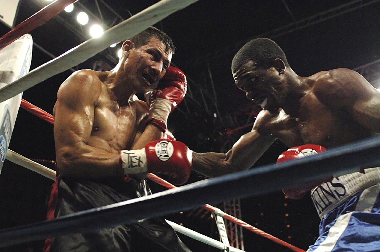 dominance vs aggression