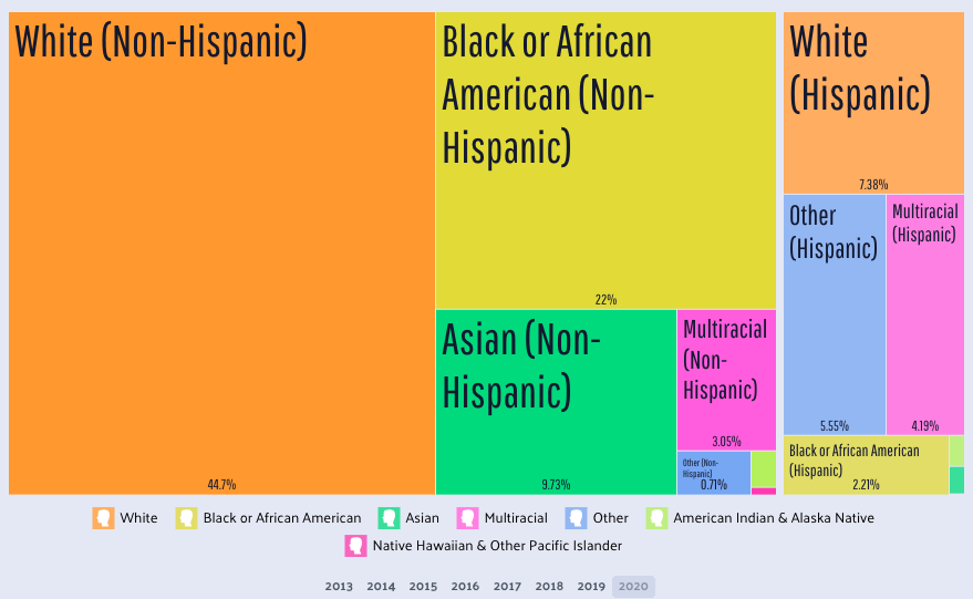 boston-demographics